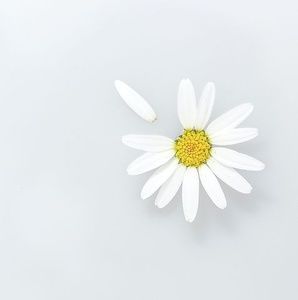 Meet your Posher, Tee